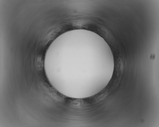 X0000110690420200907021938