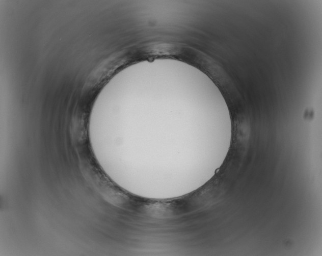 X0000110690422200907021938