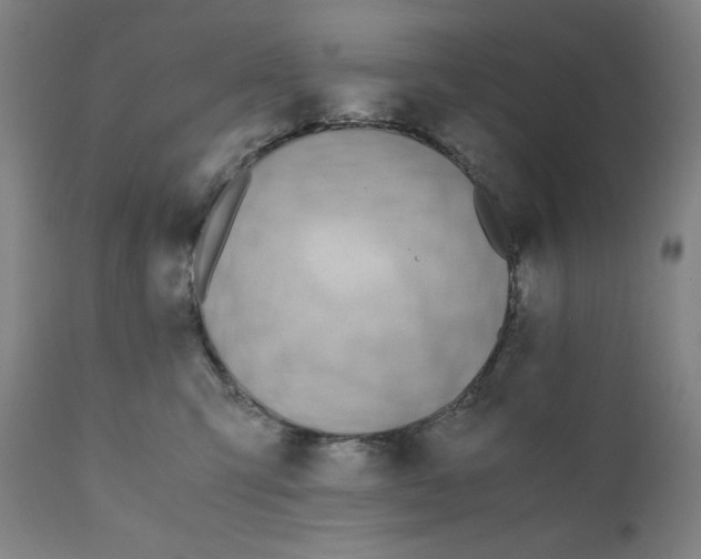 X0000110690423200907021938