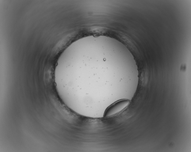 X0000110690424200907021938