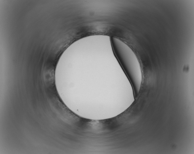 X0000110690425200907021938