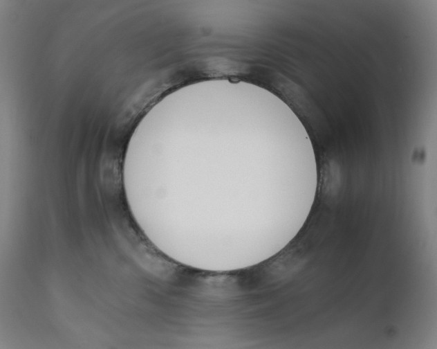 X0000110690426200907021938