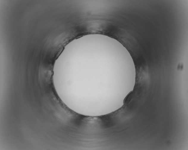 X0000110690427200907021938