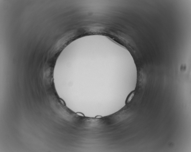 X0000110690428200907021938