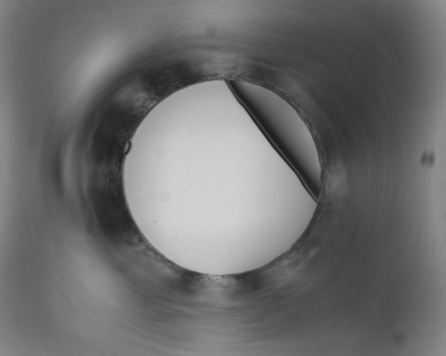 X0000110690429200907021938