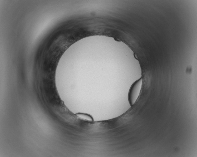 X0000110690430200907021938