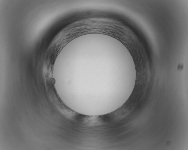 X0000110690431200907021938