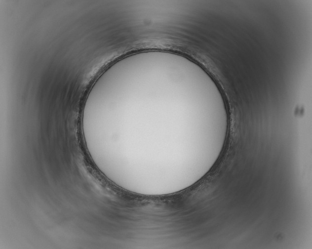 X0000110690434200907021937