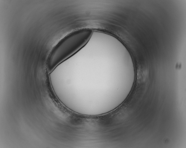 X0000110690436200907021937