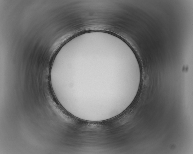 X0000110690437200907021937