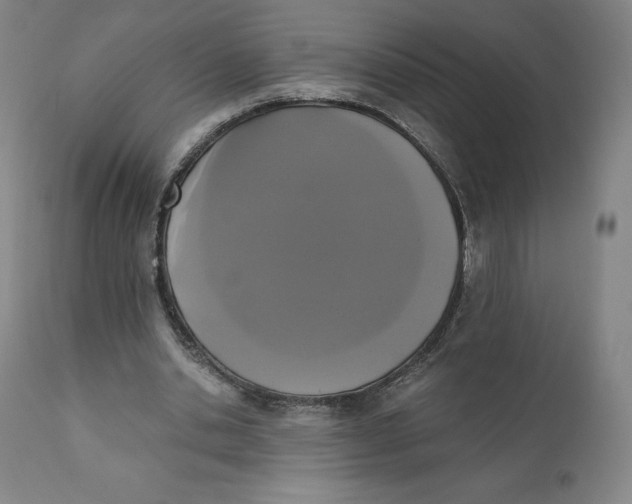 X0000110690438200907021937