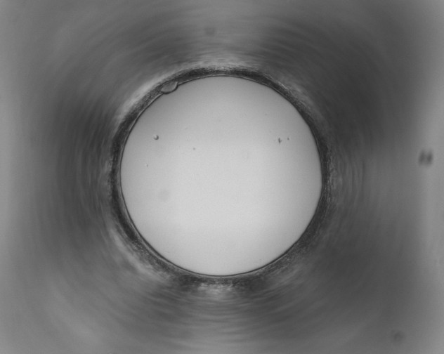 X0000110690440200907021937