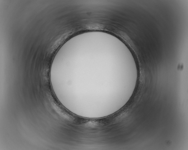 X0000110690441200907021937