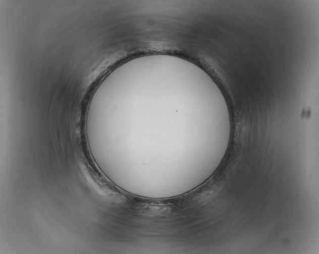 X0000110690443200907021937