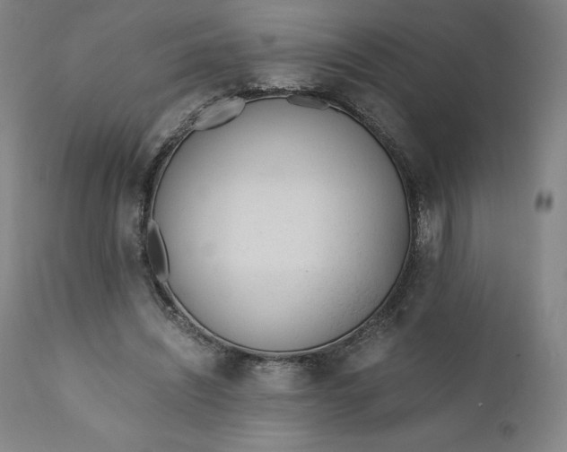 X0000110690444200907021938