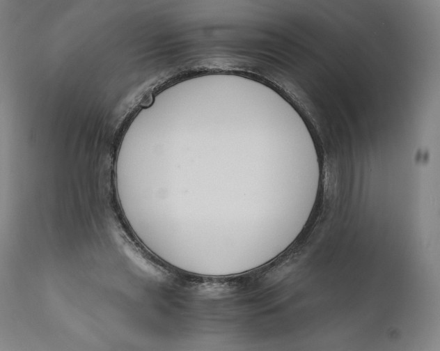 X0000110690445200907021938