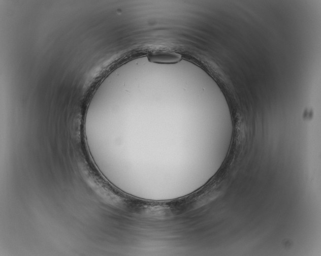 X0000110690446200907021938