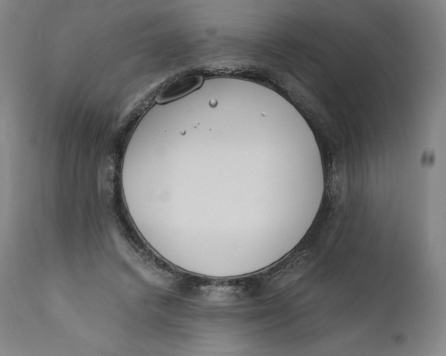 X0000110690448200907021938