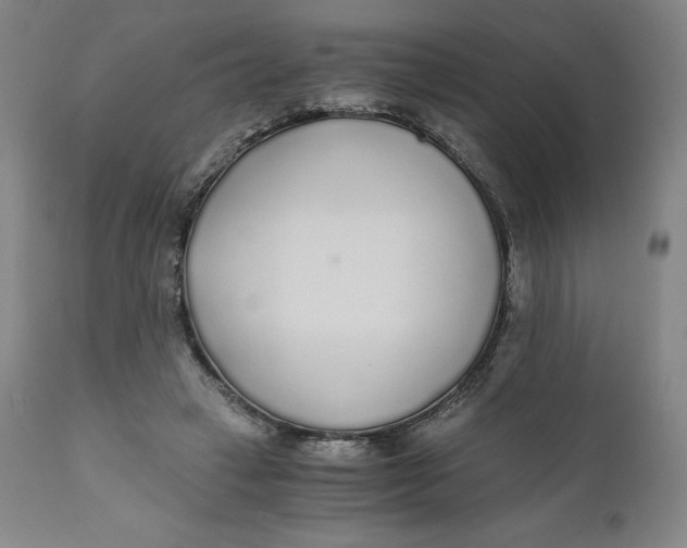 X0000110690449200907021938