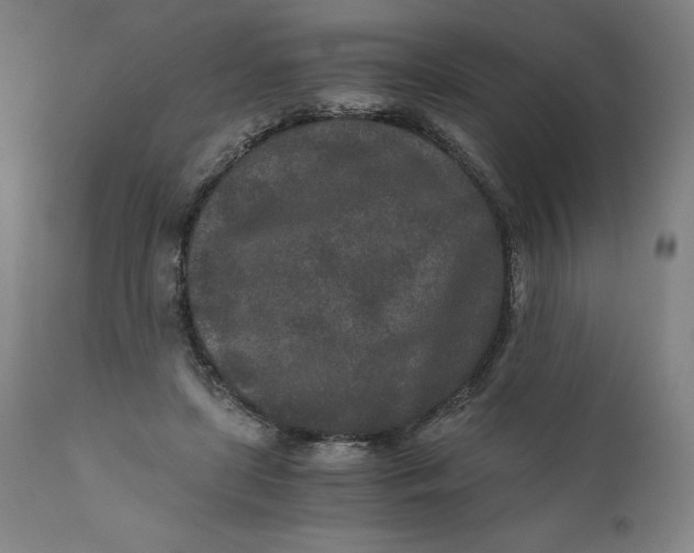 X0000110690451200907021938