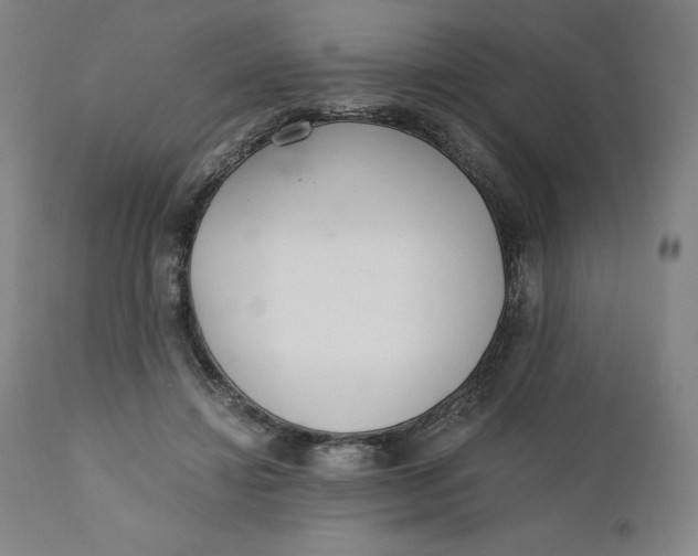 X0000110690452200907021938