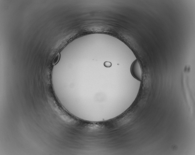 X0000110690453200907021938