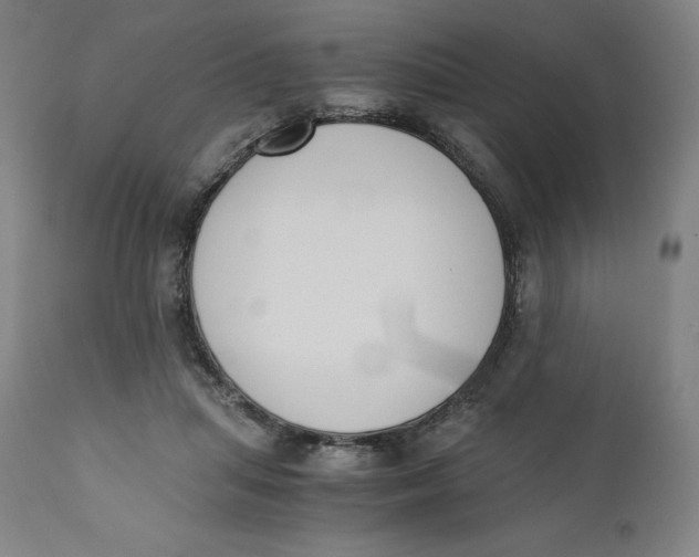 X0000110690455200907021938