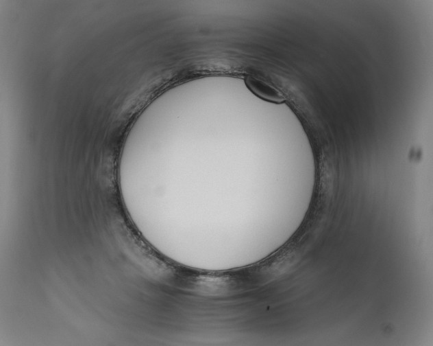 X0000110690457200907021938