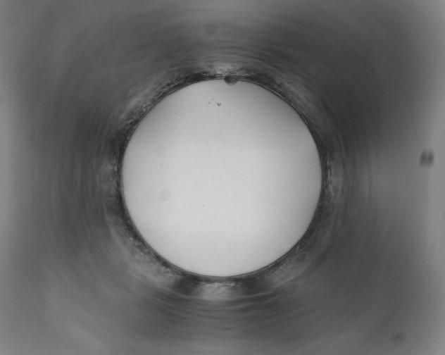 X0000110690461200907021938