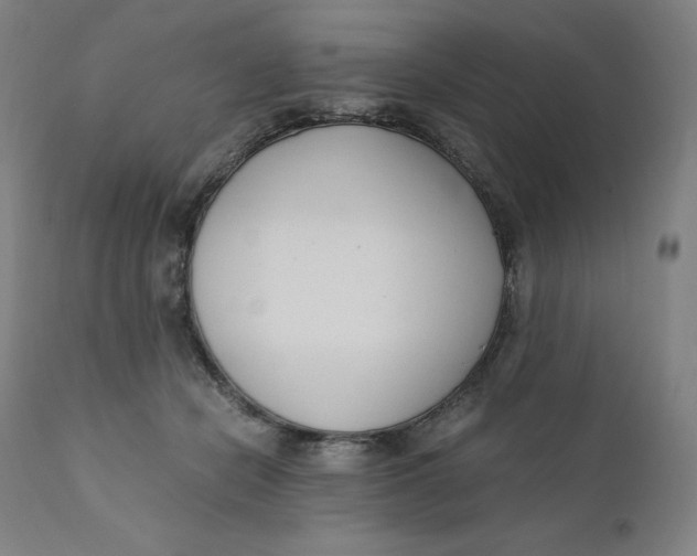 X0000110690462200907021938