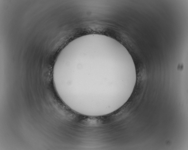 X0000110690464200907021938