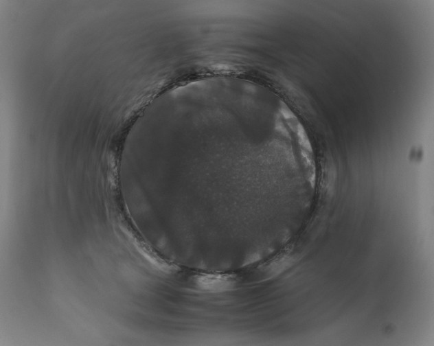 X0000110690465200907021938