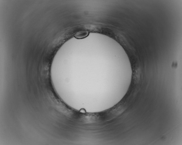 X0000110690466200907021938