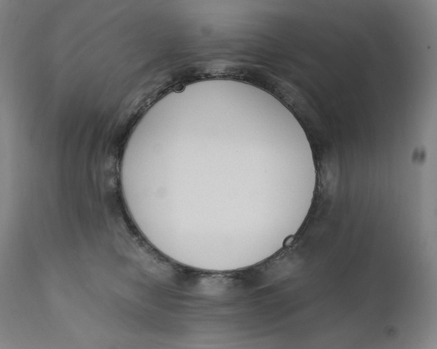 X0000110690470200907021938