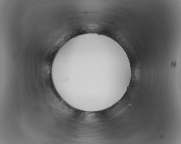 X0000110690472200907021938