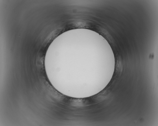 X0000110690473200907021938