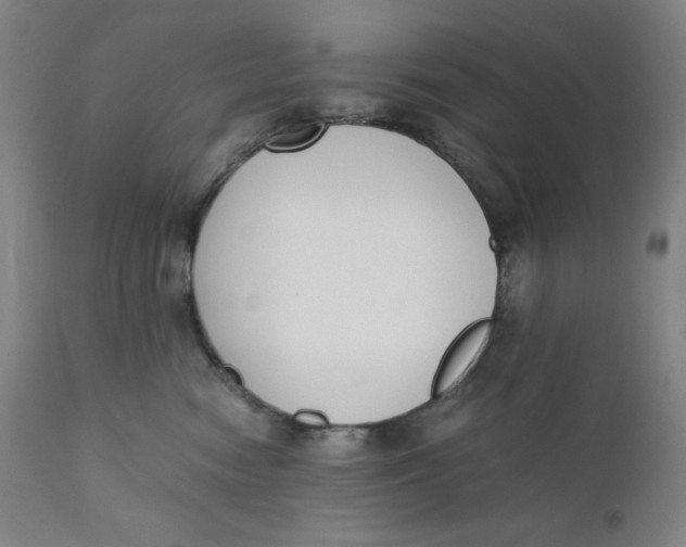 X0000110690474200907021938