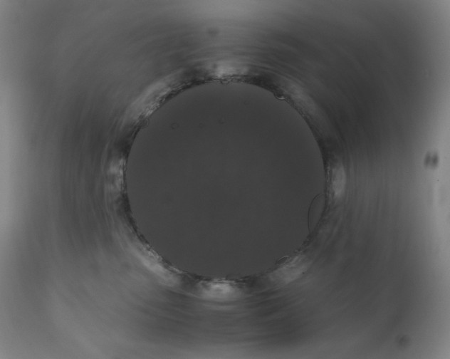 X0000110690475200907021938