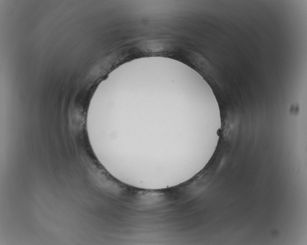 X0000110690476200907021938