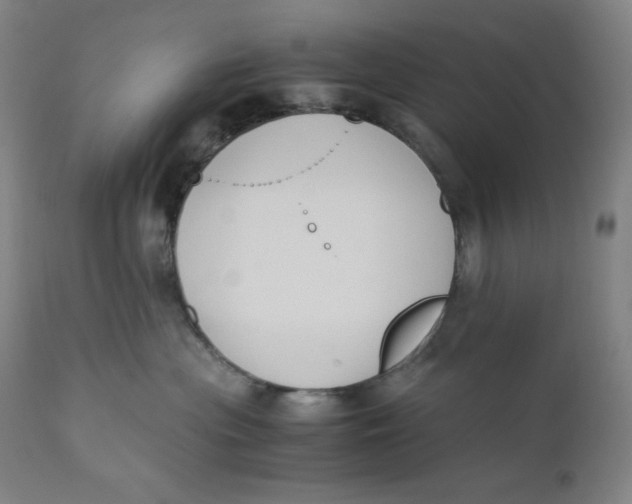 X0000110690477200907021938