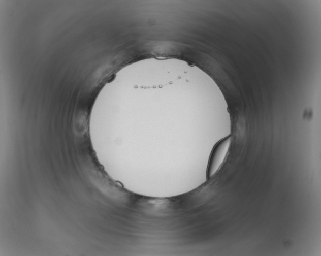 X0000110690478200907021938