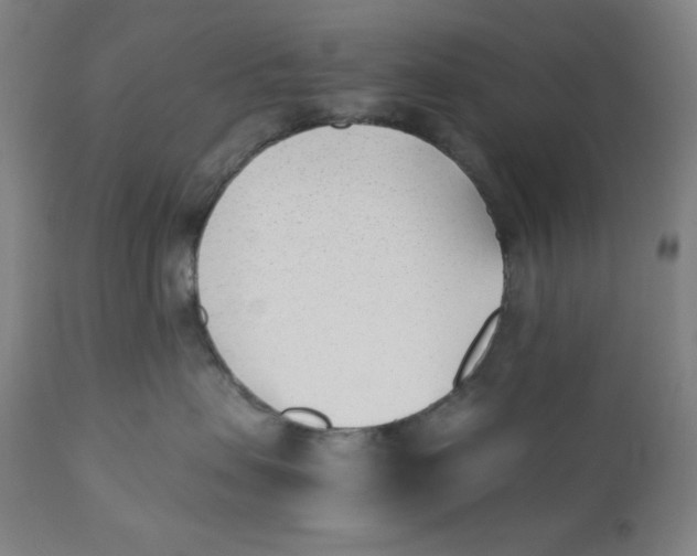 X0000110690479200907021938