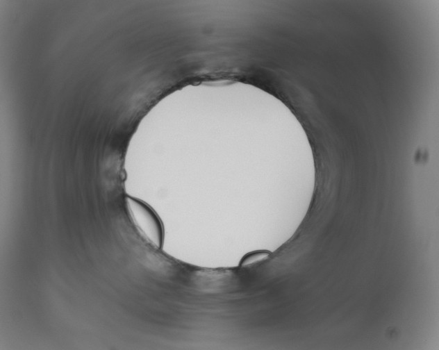 X0000110690480200907021938