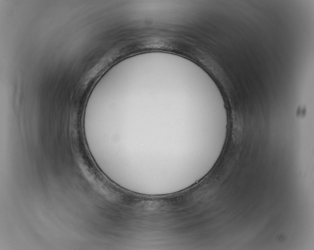 X0000110690482200907021937