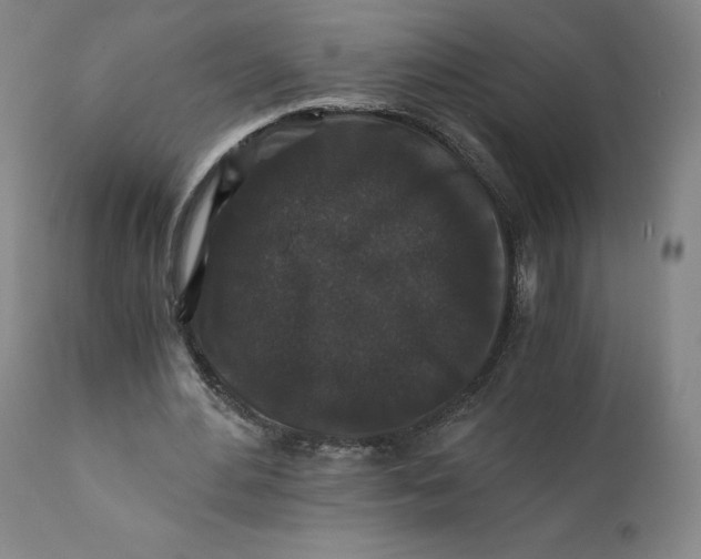 X0000110690484200907021937