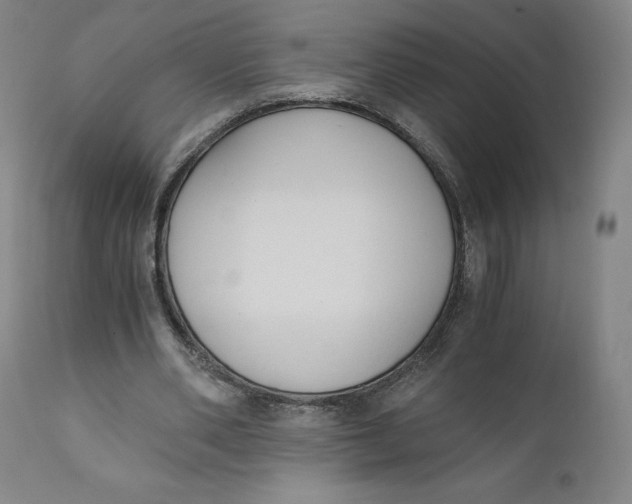 X0000110690486200907021937