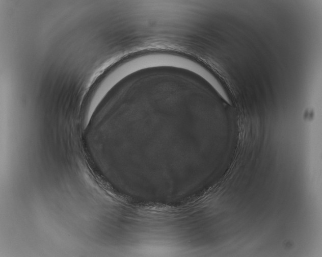 X0000110690488200907021937