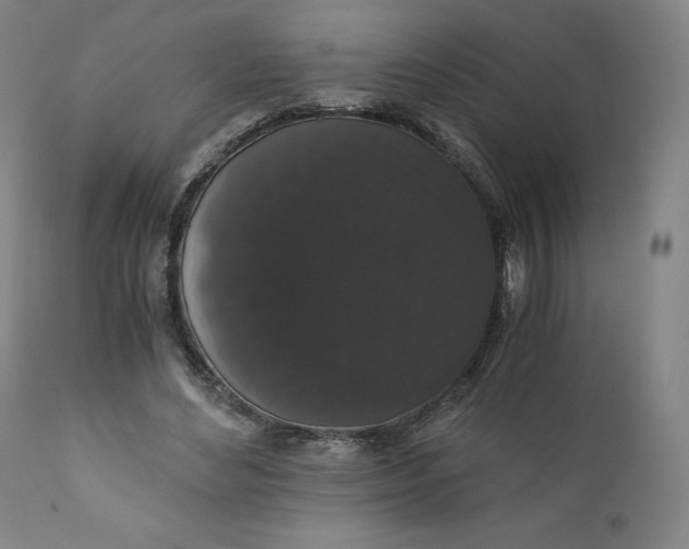 X0000110690492200907021937