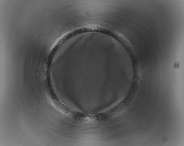 X0000110690496200907021937