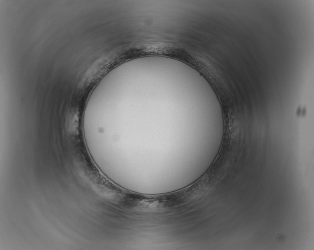 X0000110690502200907021937